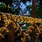 12M 100LEDs Soft Tube Solar Rope Lights Outdoor Waterproof LED PVC Fairy String